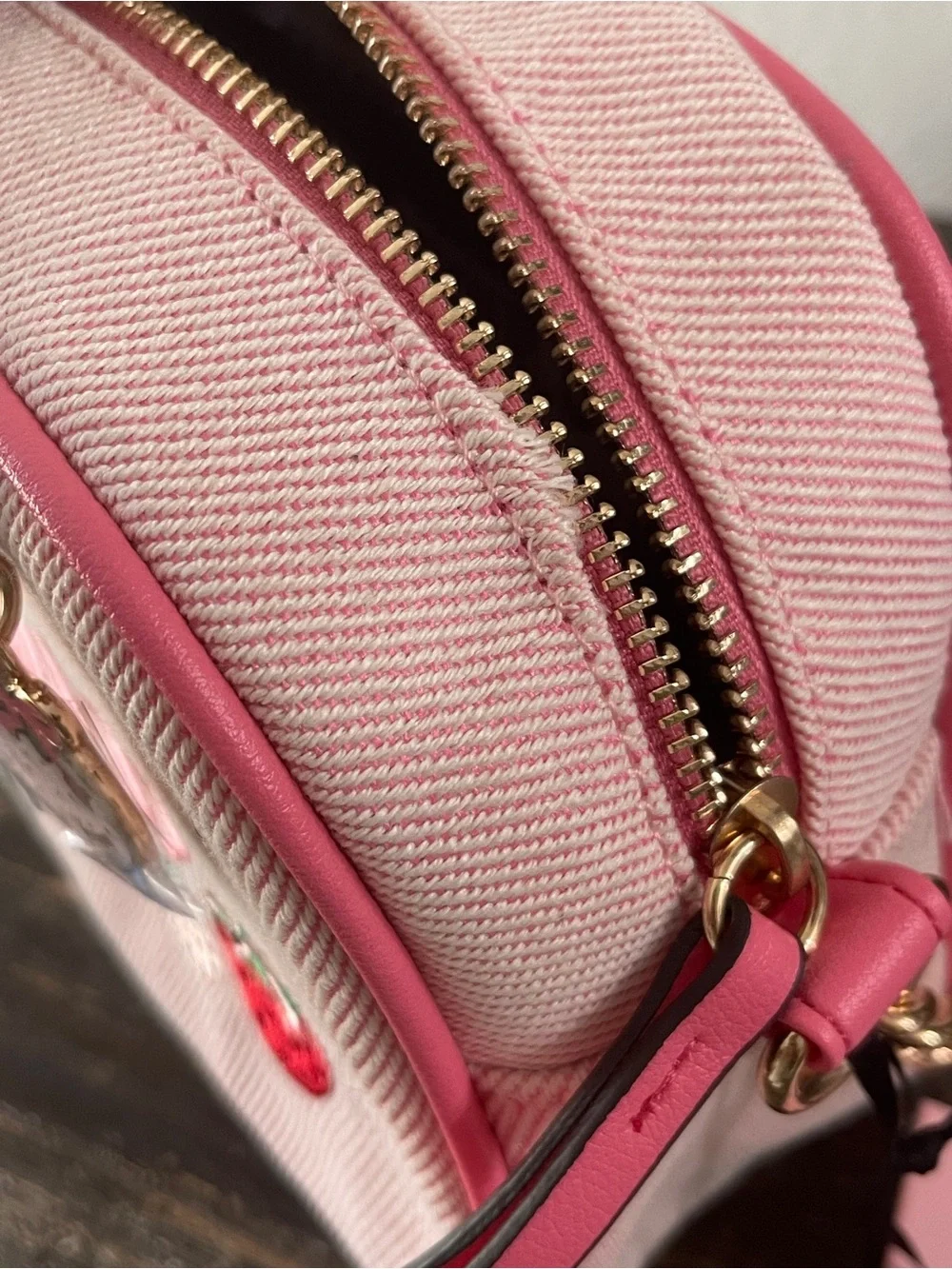 Juicy Couture Pink Strawberry Camera Bag Crossbody Embroidered Canvas NWT